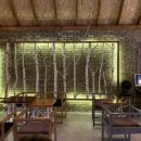 나는숲이다 이미지