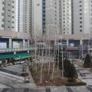 랜드마크약국 이미지