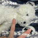 #하루기록 / [25. 2. 19] 일기인데, 카페 방문 포스팅 후기 같은 느낌 (feat.애시당초)
