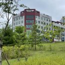 미사치유외과의원 | 연세아란산부인과, 미사치유외과의원:: 산후검진 후기