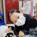 송이네민박 이미지