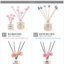 클로에잉글리쉬