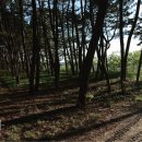 레이크앤씨빌리지 이미지