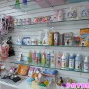 파트라슈 이미지