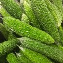 동양건강원 이미지