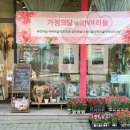 여리들 이미지
