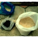 푸른농약사 이미지