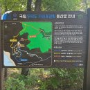 이마트24 하나개해수욕장점 | [서울근교 나들이] 무의도 자연휴양림 / 하나개해수욕장 36개월 미만 아이와 방문 후기