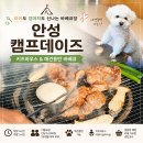 뽑기놀이 | 안성 캠프데이즈, 부모님 모시고 다녀온 애견동반 바베큐장 내돈내산 후기