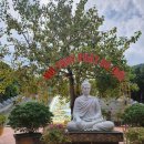 옥가농장 | 베트남 푸꾸옥 여행코스 호국사 불교사원 가볼만한곳