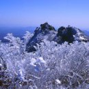 함양얼음 이미지