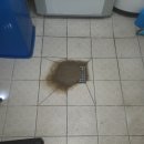 풍무동 당구장 이미지