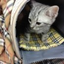 다래동물병원 이미지