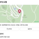하이원 팰리스호텔 이미지