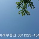 (단지내)미래공인중개사사무소 이미지