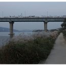 운길산장어 이미지