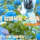 풍성한목장 이미지