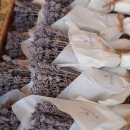 양성농장 | 청아생태농장 맞춤형화장품조제관리사 국가자격증 취득! (feat. 허브 체험의 무한한 확장 &amp; 자격증으로...