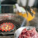 부영연탄생구이 | 찐 속초 현지인들의 소맥 아지트 노포 맛집 연탄불생구이(돼지 뒷고기 / 돼지 꼬리) 내돈내산 후기