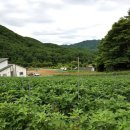 학곡1리 이미지