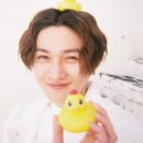 야기카레 이미지