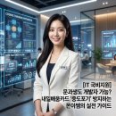 내일배움카드로 IT 분야 어떤 과정 배울 수 있나요? KDT 100% 무료 수강하고 취업까지 뚫는 치트키