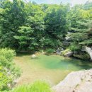 포시즌밸리계곡애견펜션 이미지