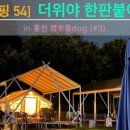 캠핑중DOG 이미지