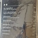 미미참치 이미지