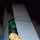 화정동서부시장 | [광주서구맛집]화정동 치킨맛집 현대닭집 서부시장맛집 통닭 내돈내먹 솔직후기