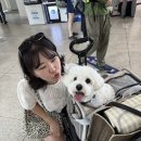 한산대첩광장 공중화장실(지하) | [통영] 강아지와 함께하는 비진도 2박 3일 (123 할매김밥, 통영원조꿀빵 1959 언진짜, 해동민박)