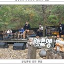 기획공연 코로나19 극복 희망 콘서트 이미지