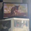 덮밥zip파스타비요맛나 | [D+28~34] 5월의 시작, 일상을 즐기는 중!