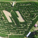 Corn Maze - 옥수수밭 미로찾기 이미지
