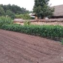 왕골민박 이미지