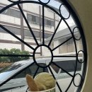 터미널그린약국 | 25'6월 여자 혼자 태국 치앙마이, 빠이 7박9일 여행 | Day 7-9 | 치앙마이 2박3일