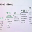빛고을노인건강타운 체육관 | 고령화 시대를 대비한 「선배 시민과 함께하는 치매 예방 교육」