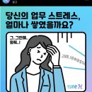 6-3 서면 성수 서촌 접쑤