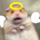 88양꼬치 이미지