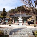 진주 정평리 무환자나무 이미지