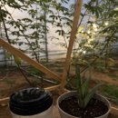 통미농장 이미지