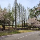 하이원C.C골프연습장 | 인천국제cc 드라이빙 레인지 골프연습장 후기