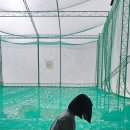 남산골프연습장(실외) 이미지