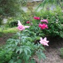 아름여관 이미지