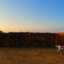 멍스테이 이미지