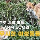 푸마2농장 이미지