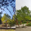 안황스포츠센터 이미지