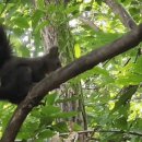 사천근린공원 이미지