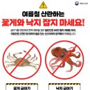 꽃게와낙지 이미지