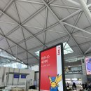 티웨이 비즈니스 업그레이드 후기(TW173, TW172) A330-300 좌석. 싱가포르 왕복 비즈니스. 티웨이...